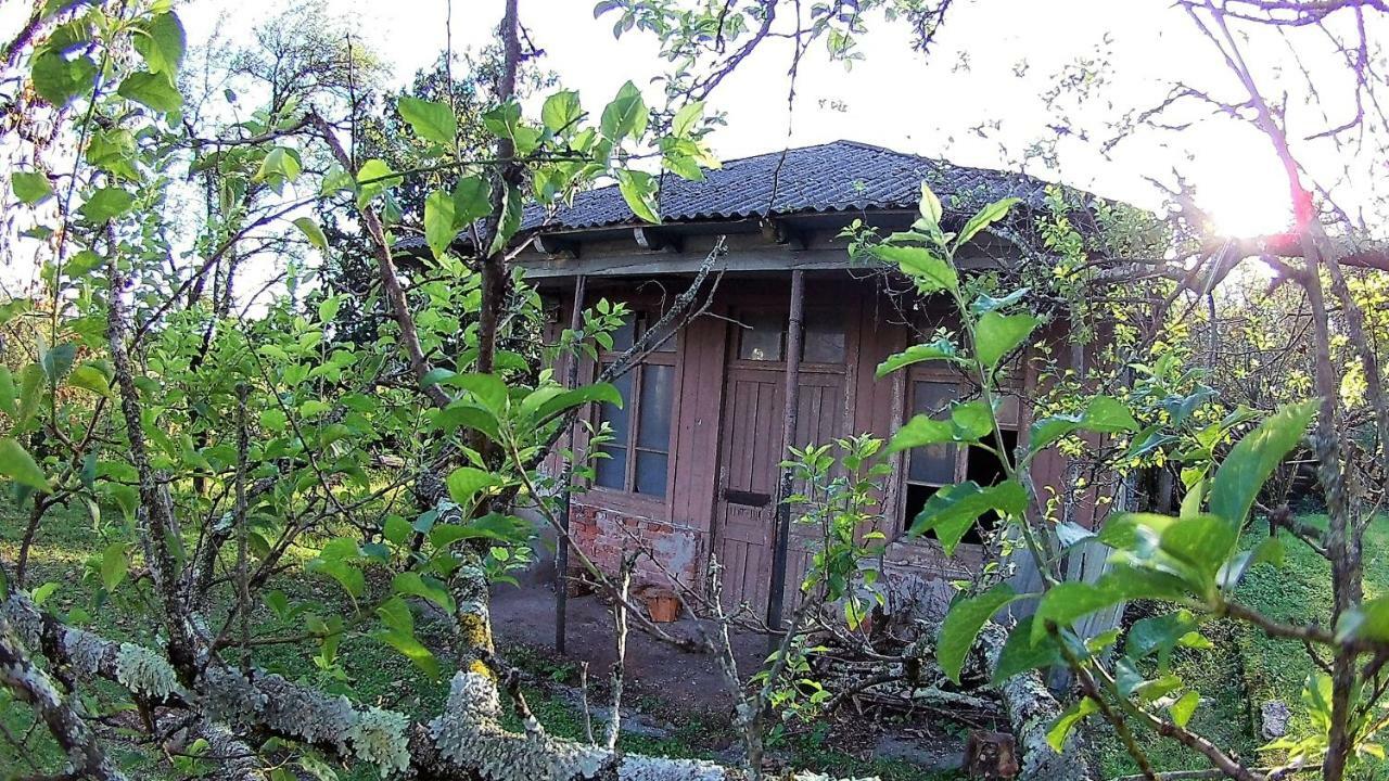 Surmava Palace Martvili Bagian luar foto