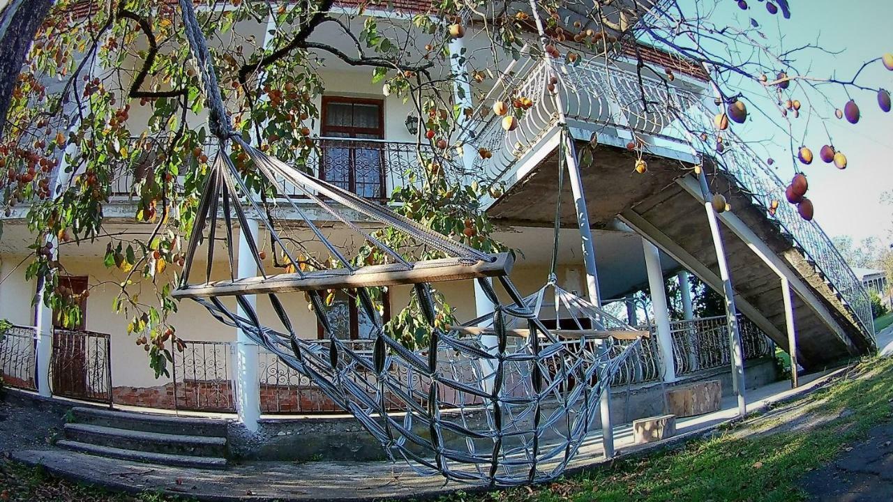Surmava Palace Martvili Bagian luar foto